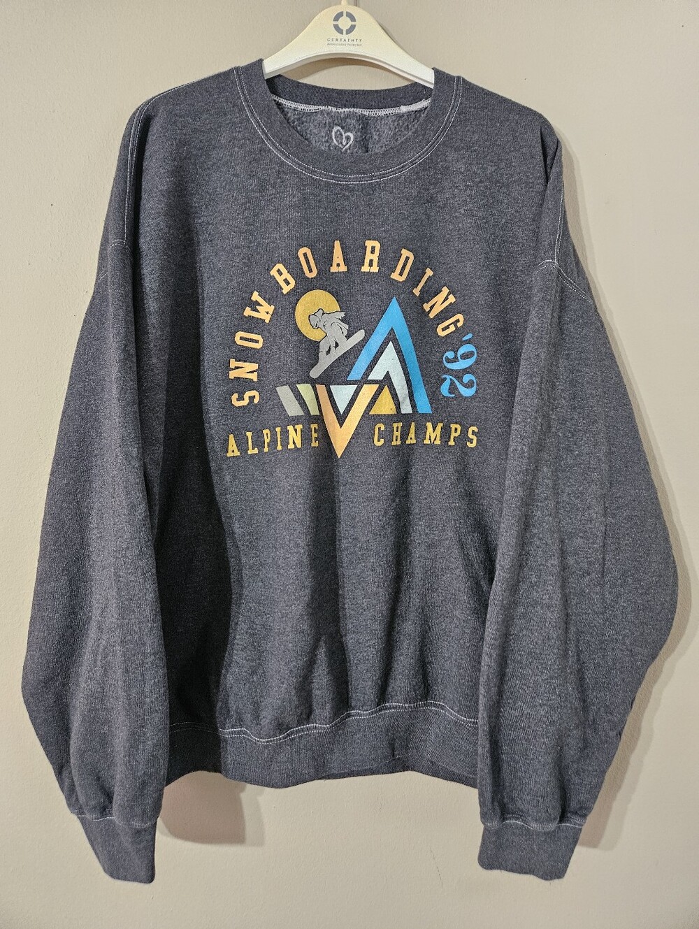 Snowboarding Alpine Champs Graphic Sweatshirt - Charcoal